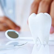 Photo of a tooth